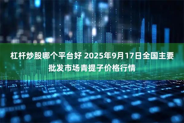 杠杆炒股哪个平台好 2025年9月17日全国主要批发市场青提子价格行情